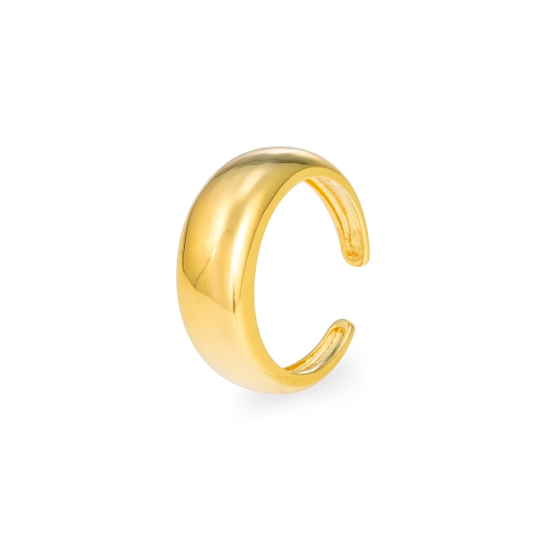 ANILLO